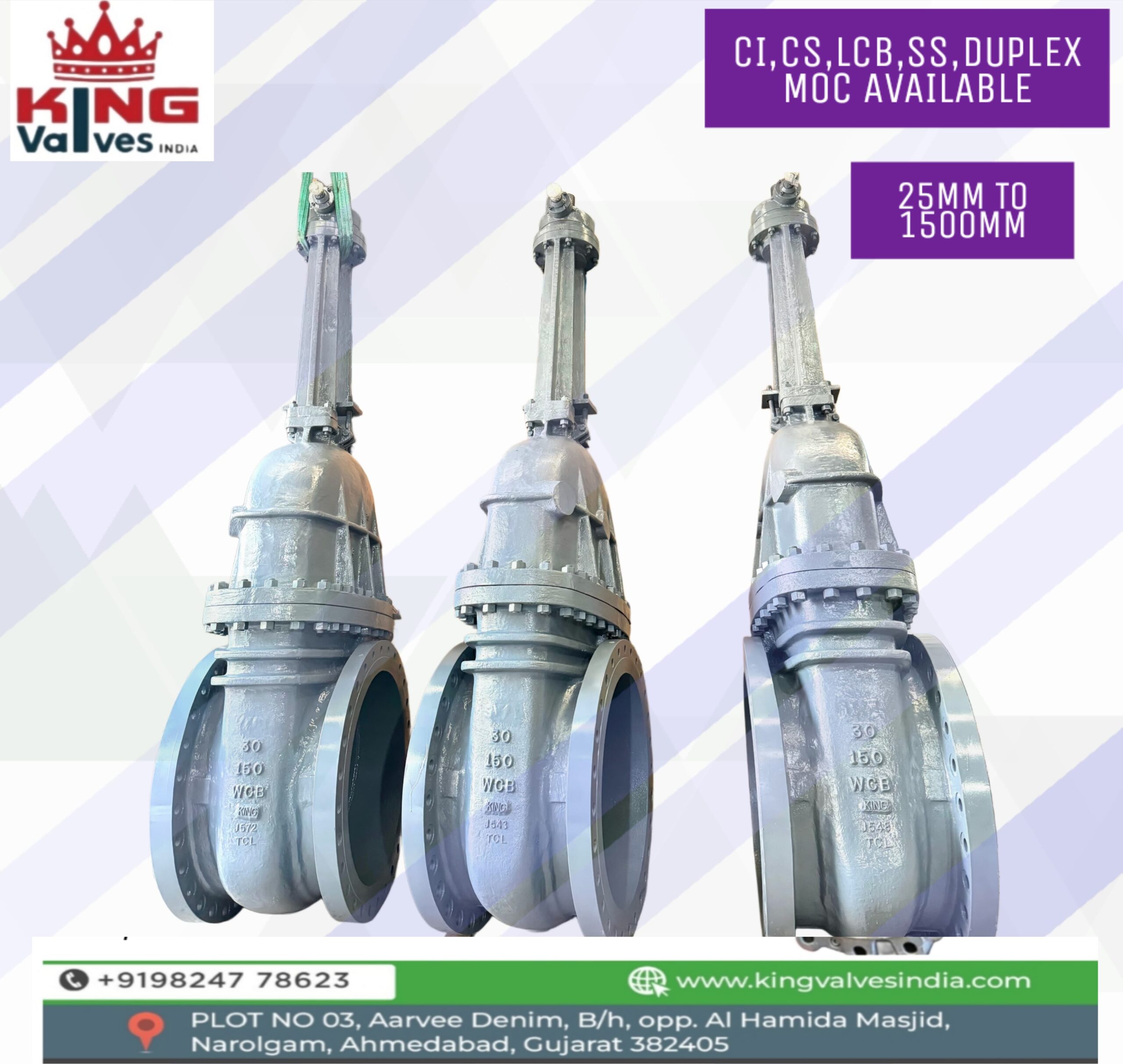 ci duplex gate valve